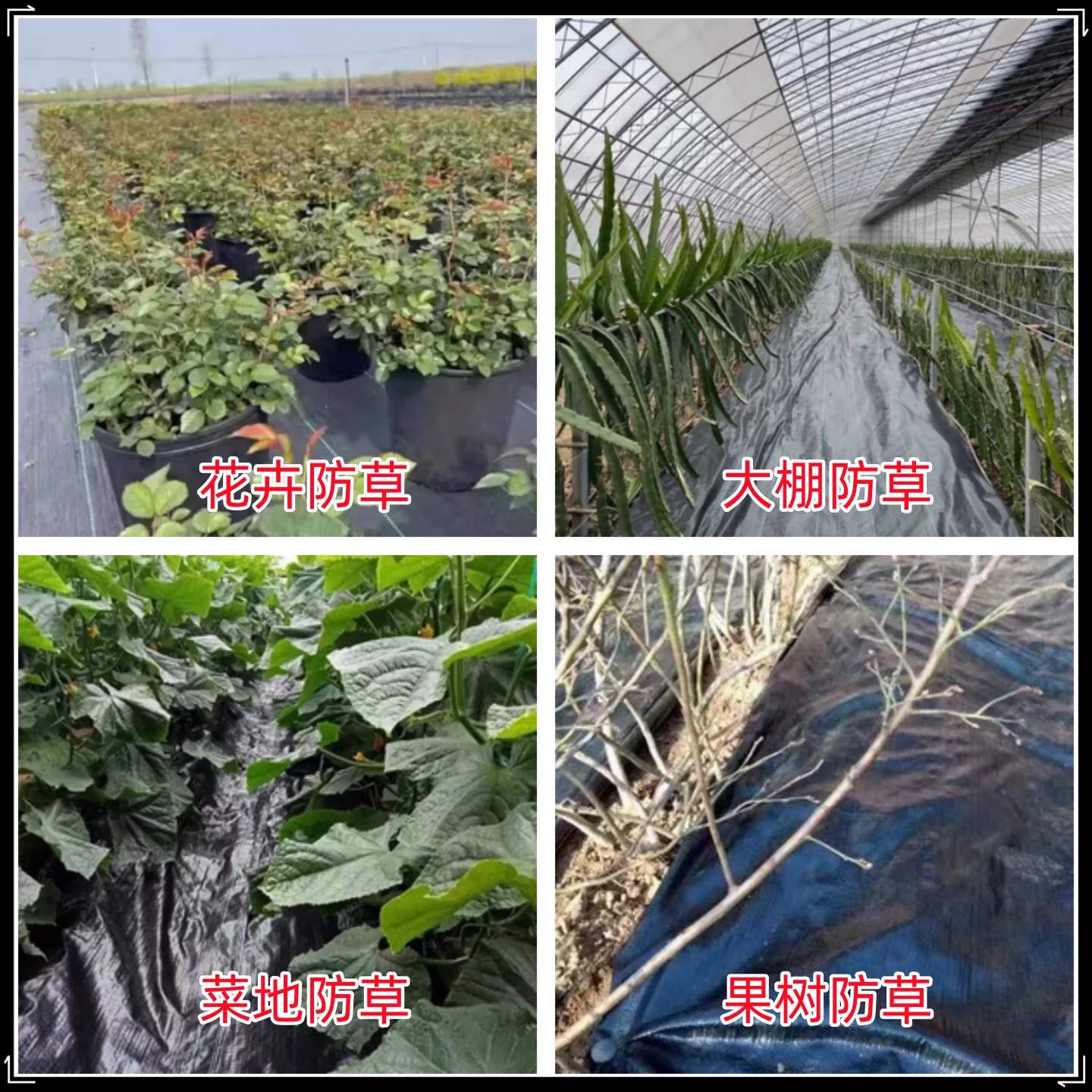 开封市地膜防草布 - 厂家